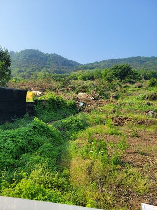 윤태숙님의 자유주제 · 사진전 작성글 사진