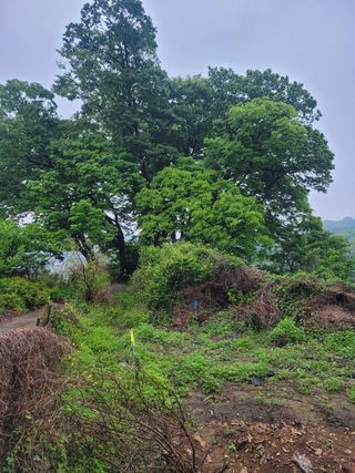 윤태숙님의 자유주제 · 사진전 작성글 사진