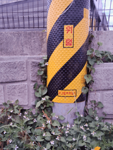 팜모닝 자유주제·자유게시판 게시글 이미지