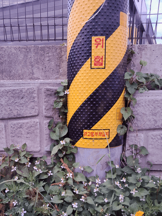 김재희님의 자유주제 · 자유게시판 작성글 사진