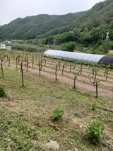 팜모닝 자유주제·자유게시판 게시글 이미지