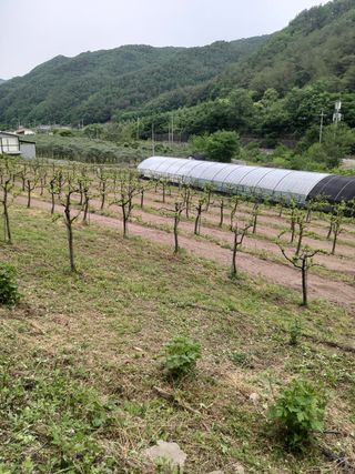 유석범님의 자유주제 · 자유게시판 작성글 사진
