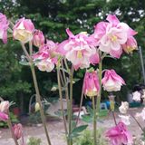 팜모닝 자유주제·사진전 게시글 이미지