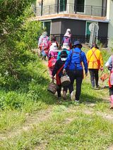 팜모닝 블루베리·자유게시판 게시글 이미지