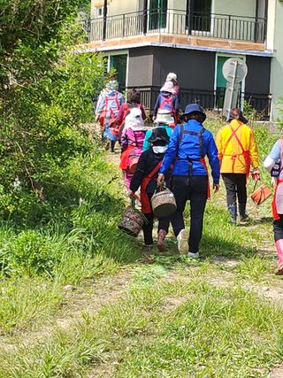 설악20446님의 블루베리 · 자유게시판 작성글 사진