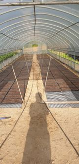 팜모닝 들깨·자유게시판 게시글 이미지