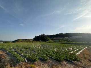 호저*윤정님의 자유주제 · 사진전 작성글 사진