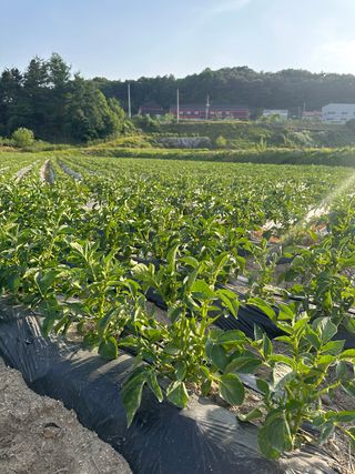 호저*윤정님의 자유주제 · 사진전 작성글 사진