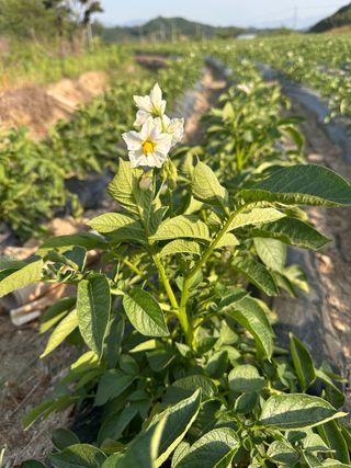 호저*윤정님의 자유주제 · 사진전 작성글 사진