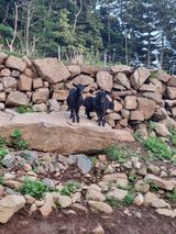 팜모닝 자유주제·자유게시판 게시글 이미지