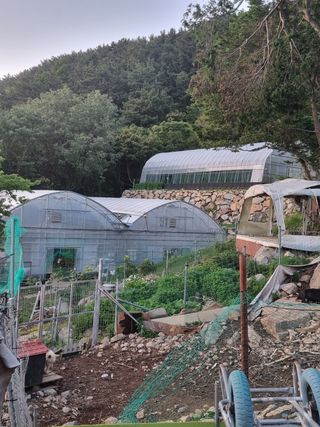 이문규님의 자유주제 · 자유게시판 작성글 사진