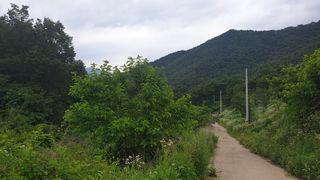 이태건님의 자유주제 · 사진전 작성글 사진