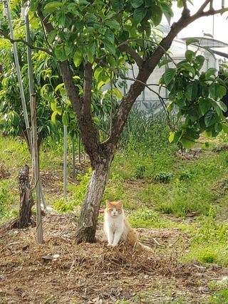 전성란님의 자유주제 · 사진전 작성글 사진