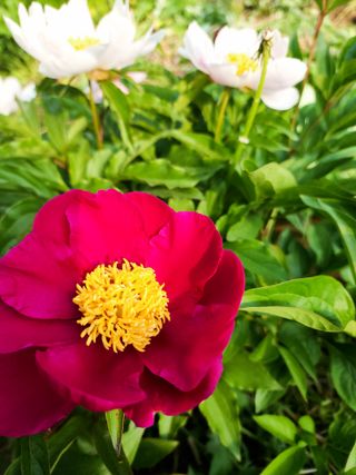 김옥란님의 자유주제 · 자유게시판 작성글 사진