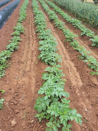 정택님의 기타작물 · 자유게시판 작성글 사진