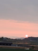 팜모닝 자유주제·사진전 게시글 이미지