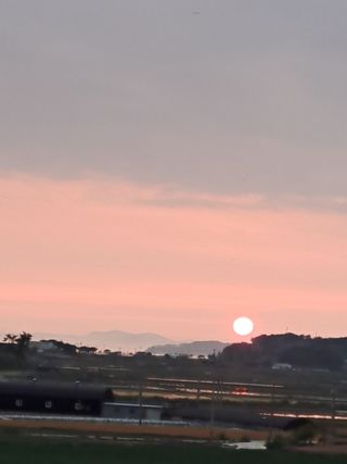 꿈드림뜨락님의 자유주제 · 사진전 작성글 사진