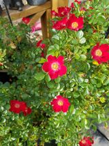 팜모닝 자유주제·사진전 게시글 이미지