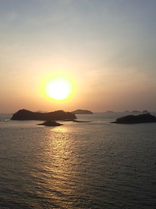 꿈드림뜨락님의 자유주제 · 사진전 작성글 사진