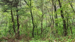 이보건님의 우리동네 · 동네자랑 작성글 사진