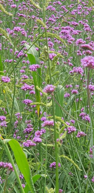 김복실님의 자유주제 · 자유게시판 작성글 사진