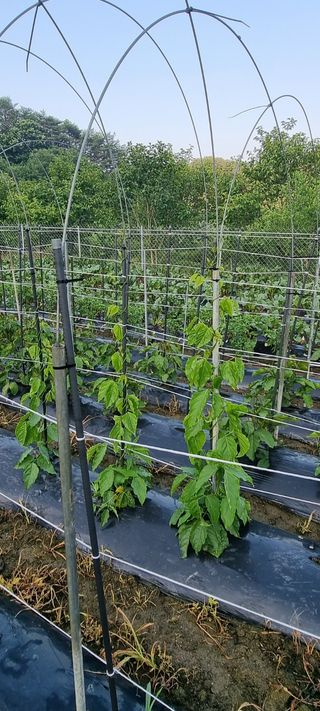 하동써니님의 자유주제 · 자유게시판 작성글 사진