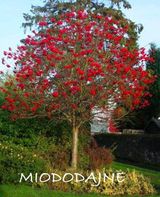 팜모닝 버섯·일상 게시글 이미지