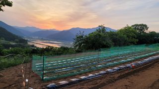 박인선님의 자유주제 · 사진전 작성글 사진