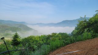 박인선님의 자유주제 · 사진전 작성글 사진