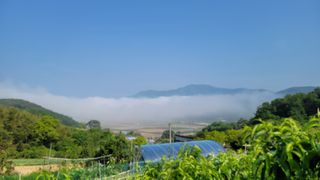 박인선님의 자유주제 · 사진전 작성글 사진