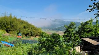 박인선님의 자유주제 · 사진전 작성글 사진