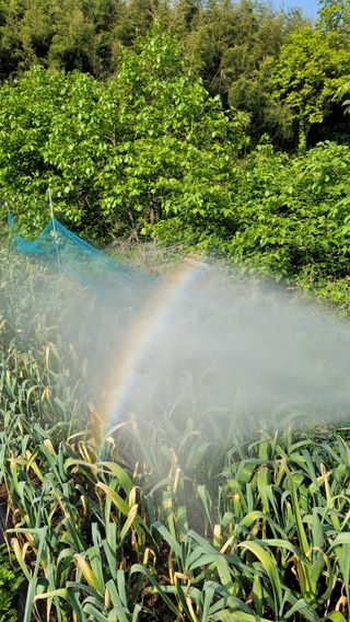 박인선님의 자유주제 · 사진전 작성글 사진