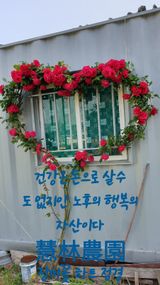 팜모닝 기타작물·자유게시판 게시글 이미지