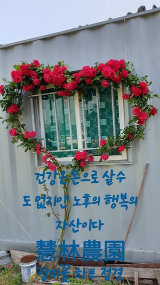 조약돌님의 기타작물 · 자유게시판 작성글 사진