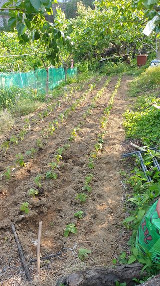 조약돌님의 기타작물 · 자유게시판 작성글 사진