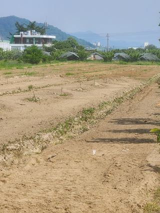 이정찬님의 배 · 제초 작성글 사진