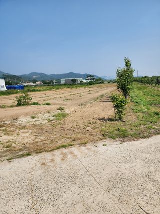 이정찬님의 배 · 제초 작성글 사진