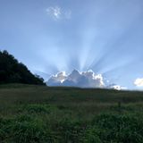 팜모닝 자유주제·사진전 게시글 이미지