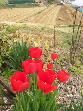별향기님의 우리동네 · 동네자랑 작성글 사진