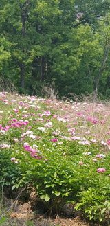 팜모닝 우리동네·동네자랑 게시글 이미지