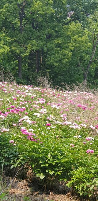 문제민님의 우리동네 · 동네자랑 작성글 사진