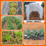 팜모닝 자유주제·사진전 게시글 이미지