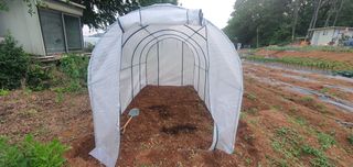 김인환님의 자유주제 · 사진전 작성글 사진