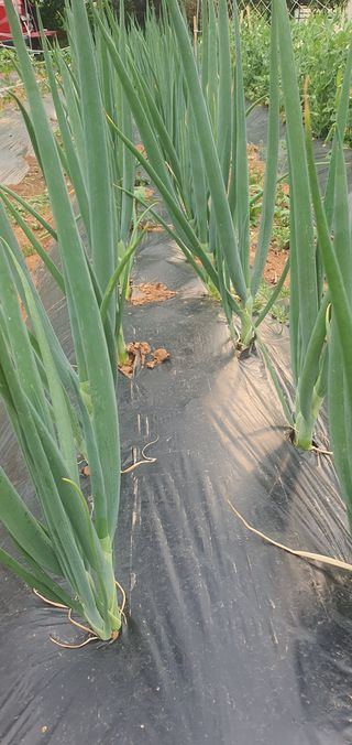 김인환님의 자유주제 · 사진전 작성글 사진