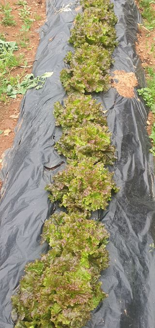 김인환님의 자유주제 · 사진전 작성글 사진