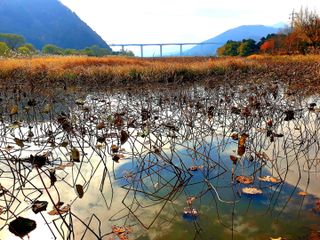 최창숙님의 자유주제 · 사진전 작성글 사진