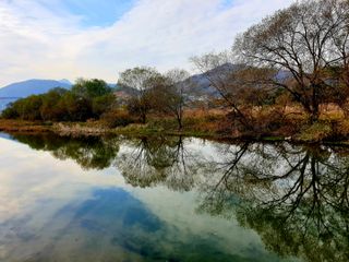 최창숙님의 자유주제 · 사진전 작성글 사진