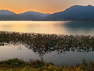 최창숙님의 자유주제 · 사진전 작성글 사진