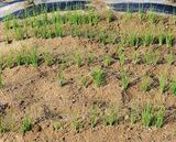 팜모닝 파·자유게시판 게시글 이미지