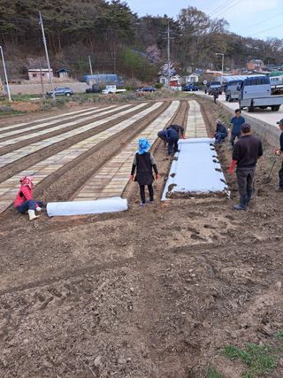 딸기20678김연길님의 자유주제 · 사진전 작성글 사진